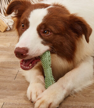Chew Toys For Dog Teeth Cleaning