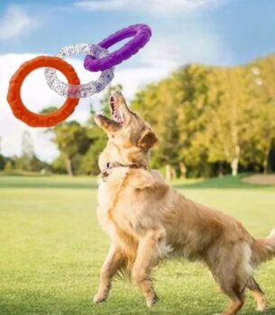 "Splash & Fetch Floating Dog Disk – Tough Chew Toy for Small/Medium Dogs"